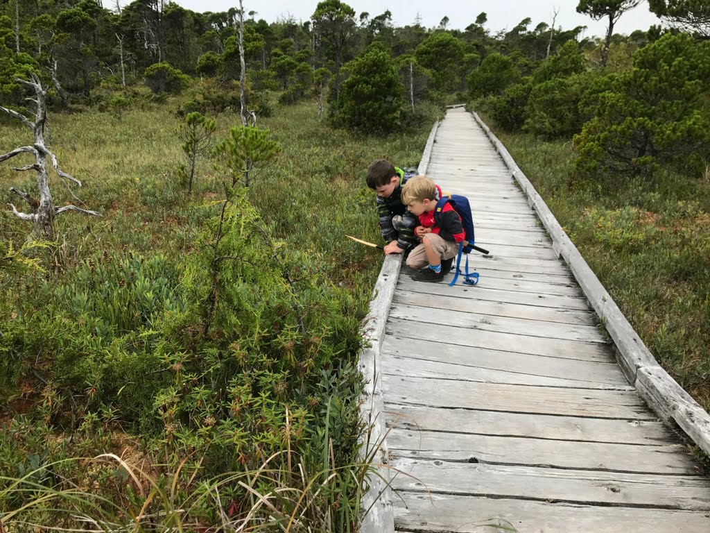 kids-on-tofino-boardwalk