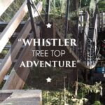 Whistler Tree Top Tour Adventure