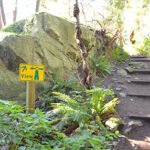 Lighthouse Park Trail Marker