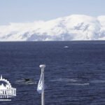 Antarctica Adventure
