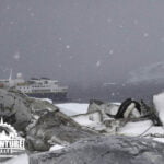 Antarctica Adventure