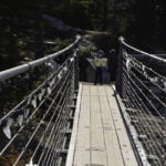 Sea to Sky Gondola – Boy on Suspension Bridge