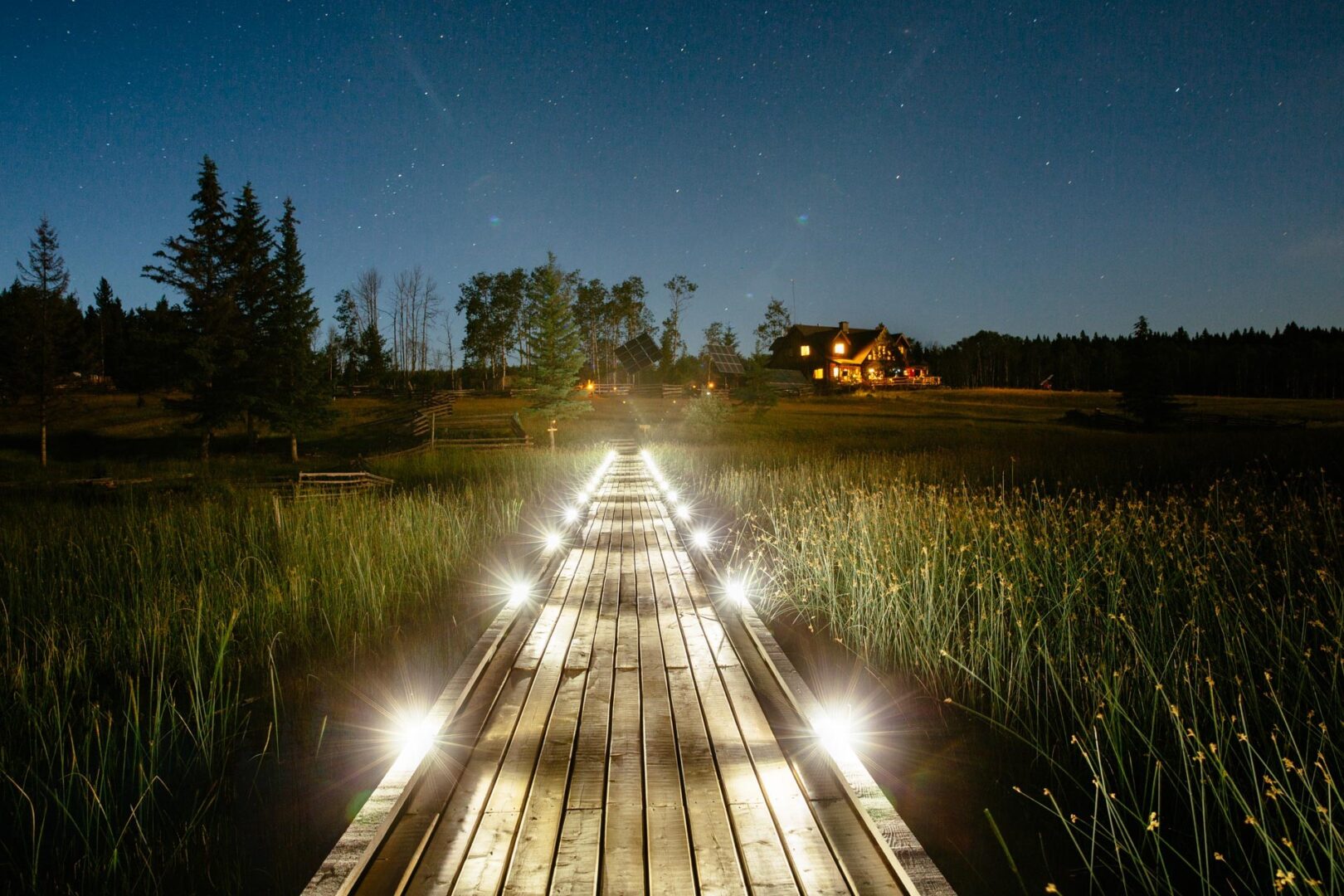 This stunning walkway leading through the grasslands at Siwash Lake. What an amazing pathway to start or end your day. Photo credit: Siwash Lake.