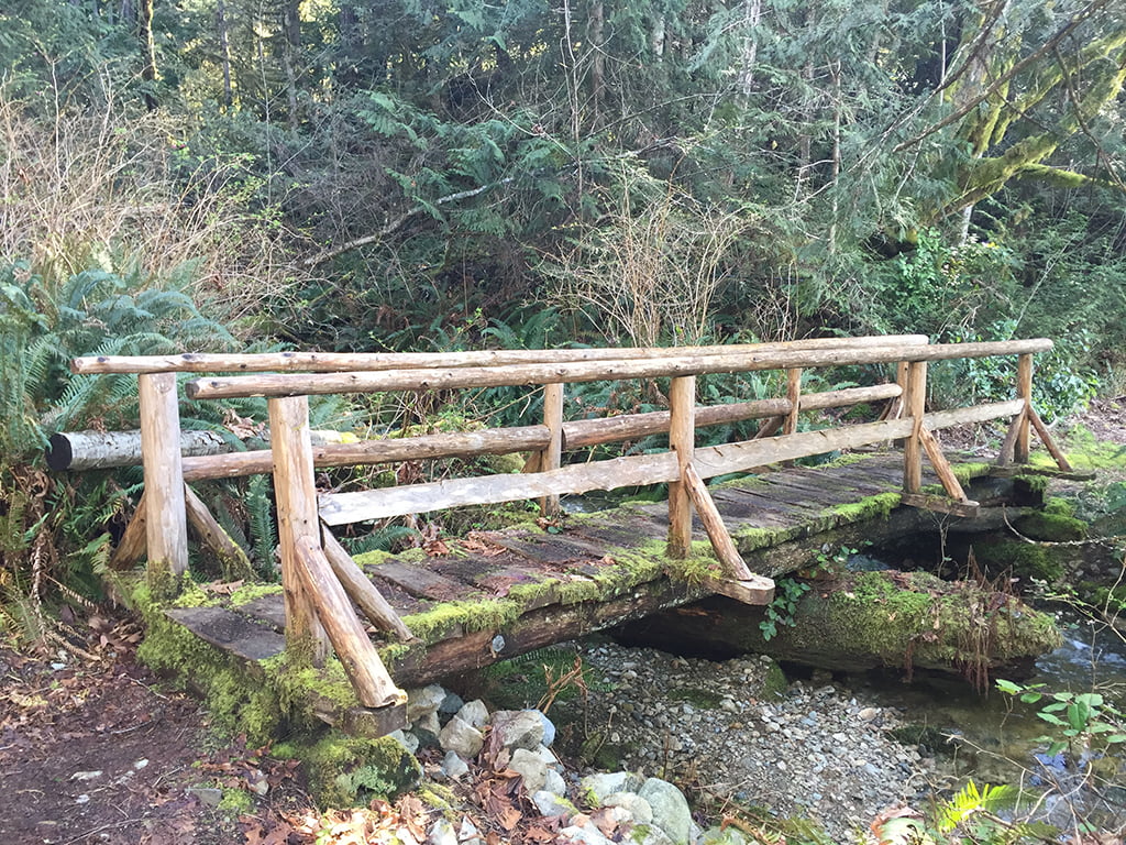wooden bridge on the sunshine coast trail
