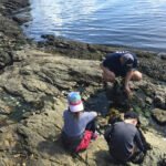 Family exploring sea life on Sunshine Coast Trail