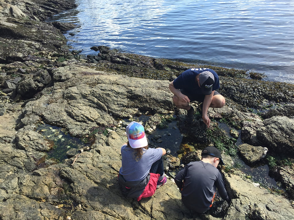 Family exploring sea life on Sunshine Coast Trail
