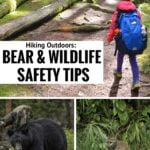 Bear & Wildlife Safety Tips – Pinterest