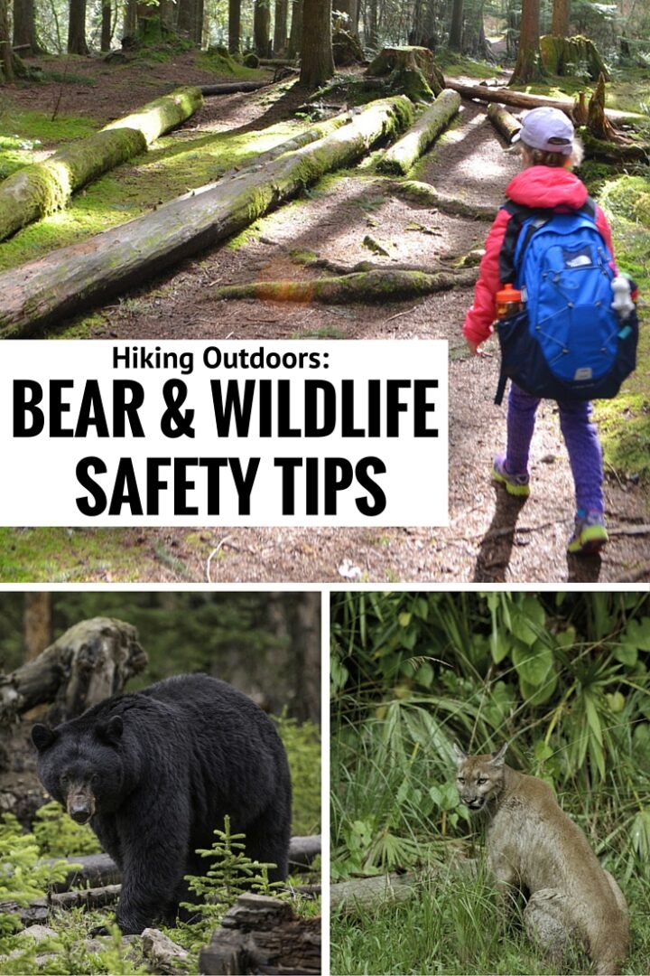 Bear & Wildlife Safety Tips