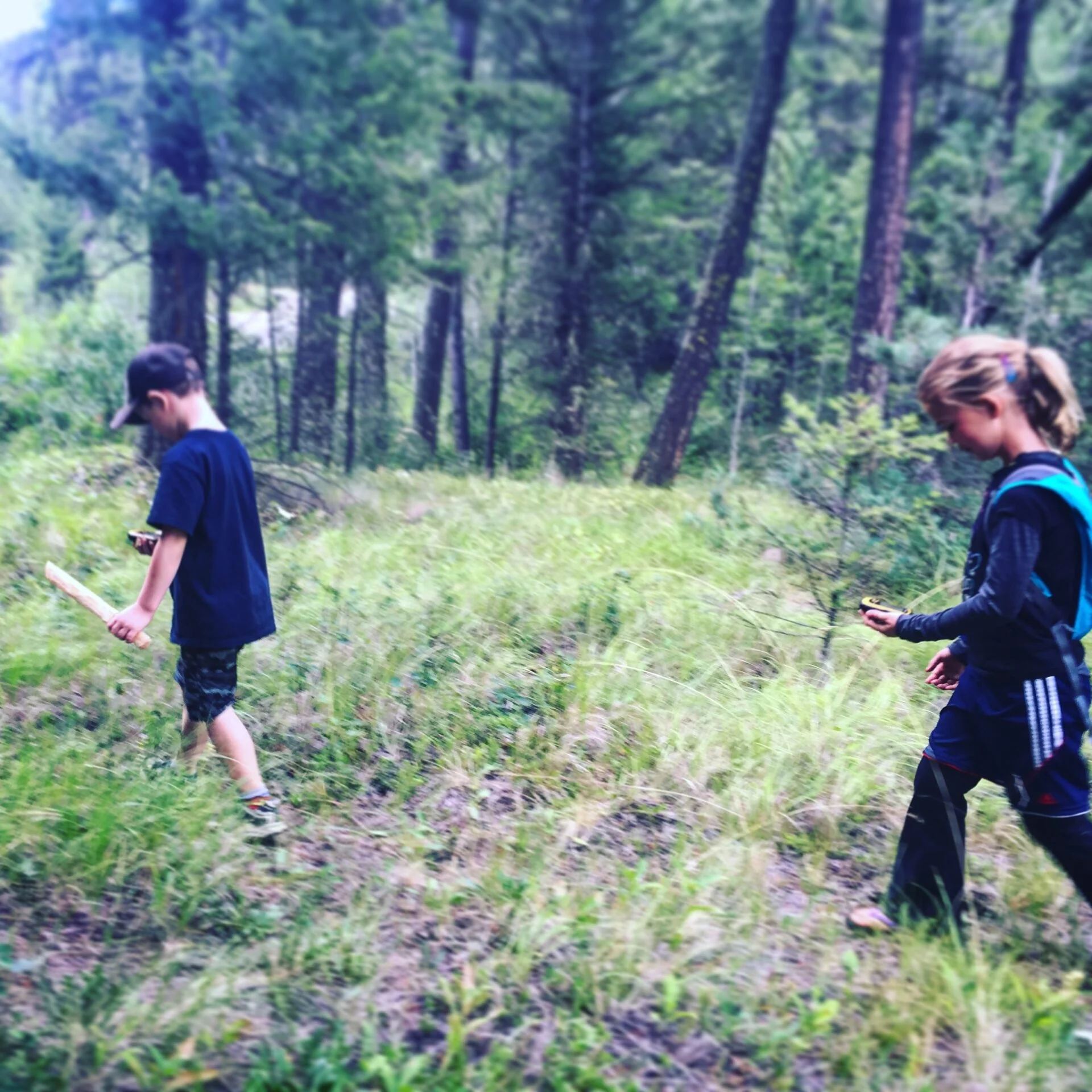 Geocaching in Kootenay National Park