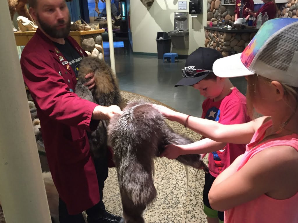 Kids touching furs at a museum