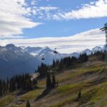 Peak to Peak Whistler (3 of 16)