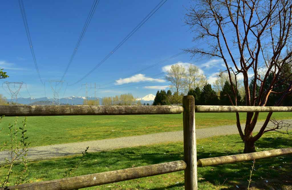 downes bowl trail in Clearbrook Park, a family friendly hikes fraser valley