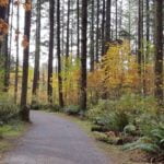 fraser valley hikes – houston trail