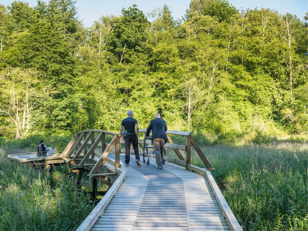 people walking the little river loop trail one of the best fraser valley hikes