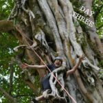 woman climbing a tree at the run like a girl adventure retreat in costa rica