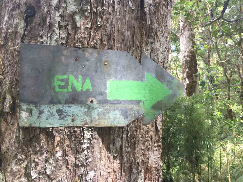 hike marker on tree in costa rica