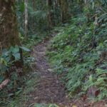 Run Like a Girl Adventure and Wellness Retreat Costa Rica (3 of 18)-2