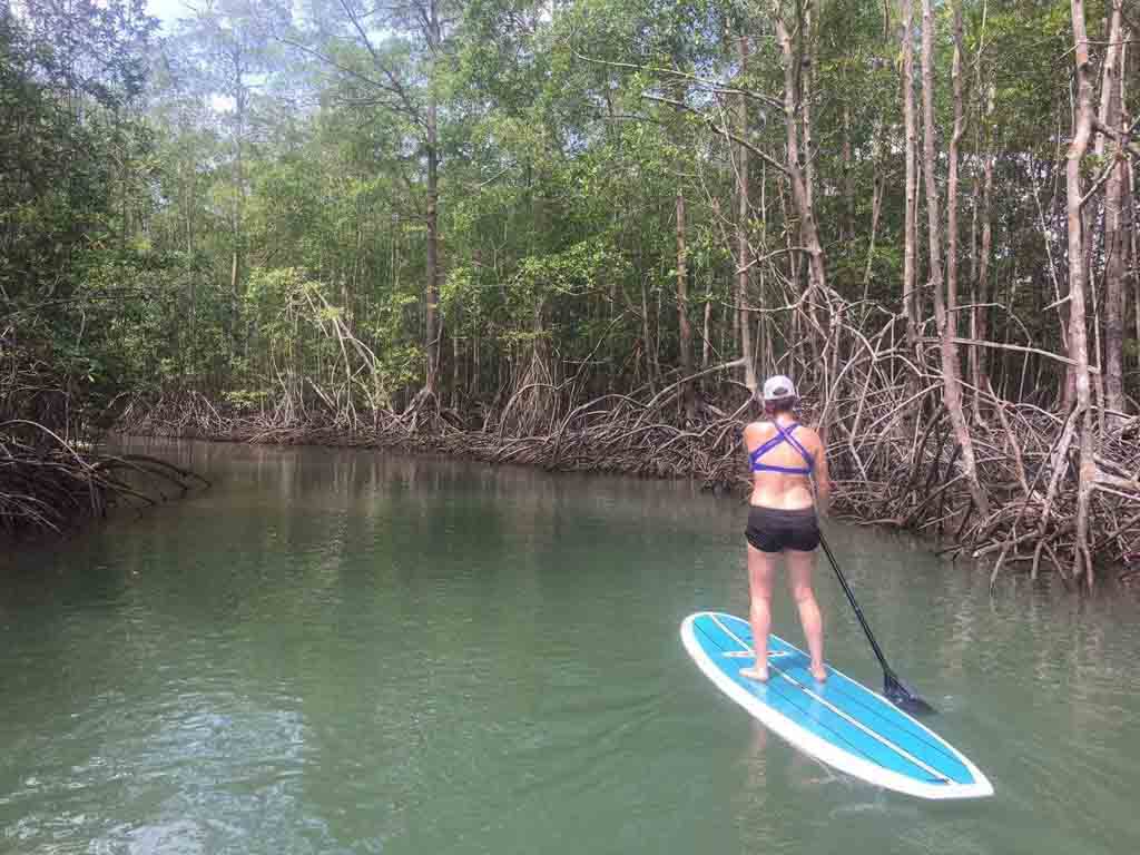 paddleboarding through a mangrove in costa rica