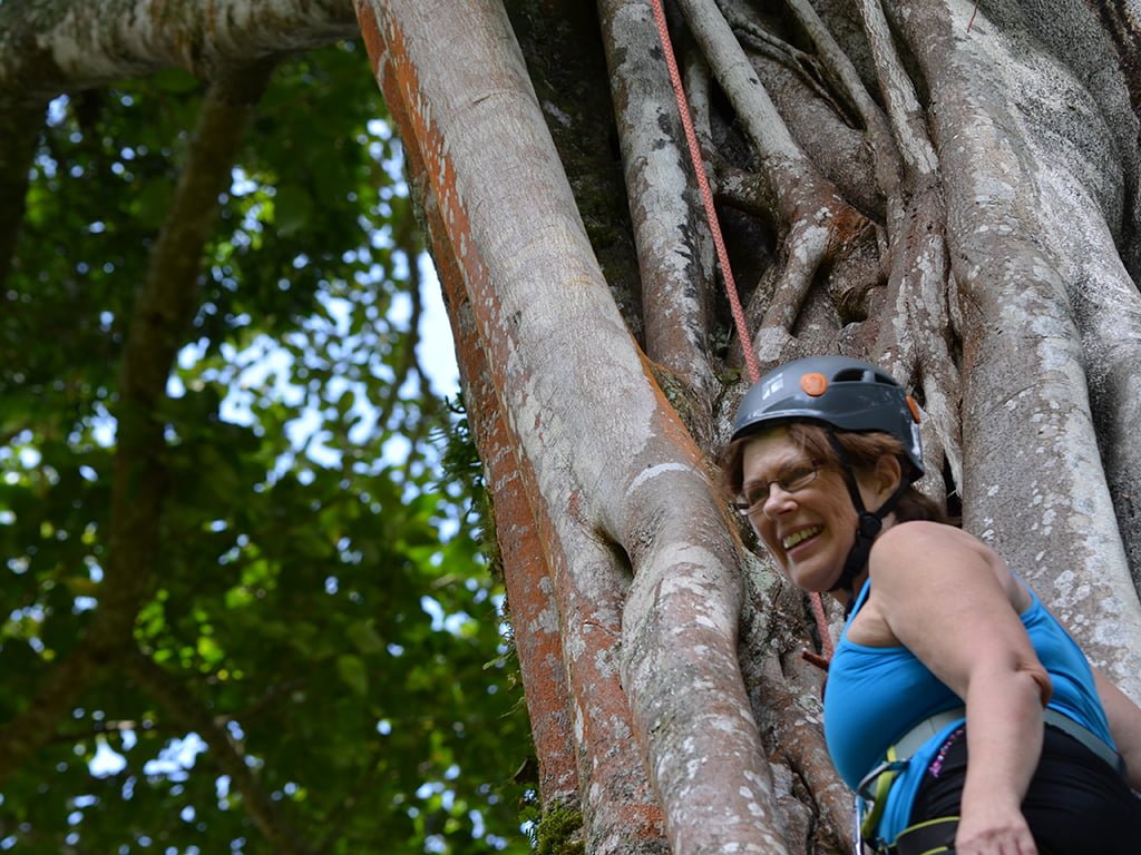 Getting ready to climb a big tree in costa rica