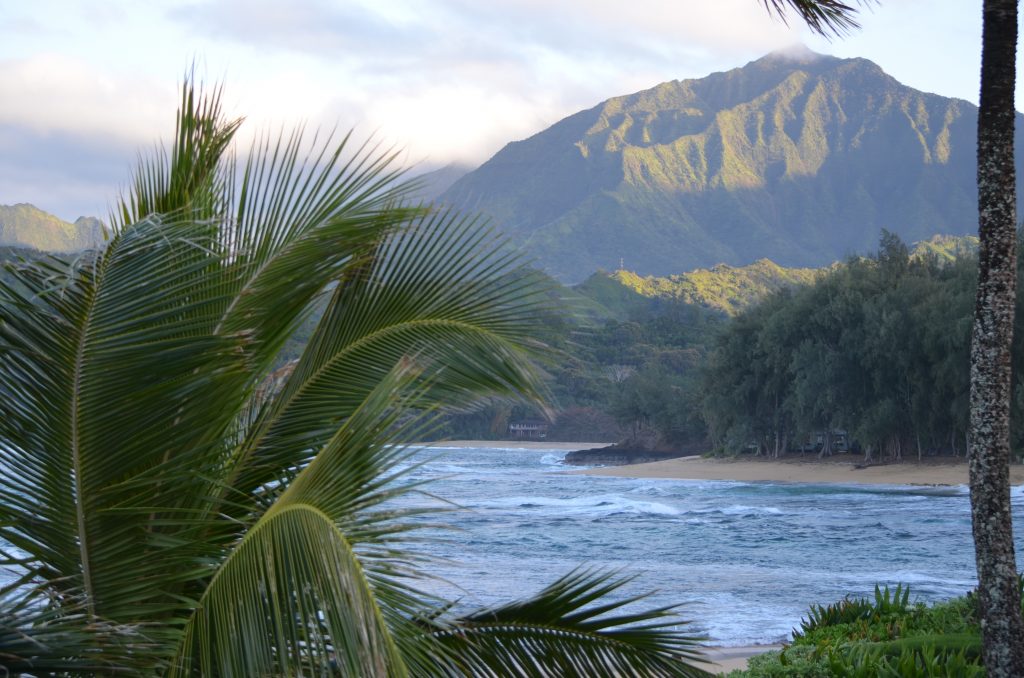 view from Hanalei Colony Resort