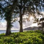 Family Travel to Kauai  (6 of 10)