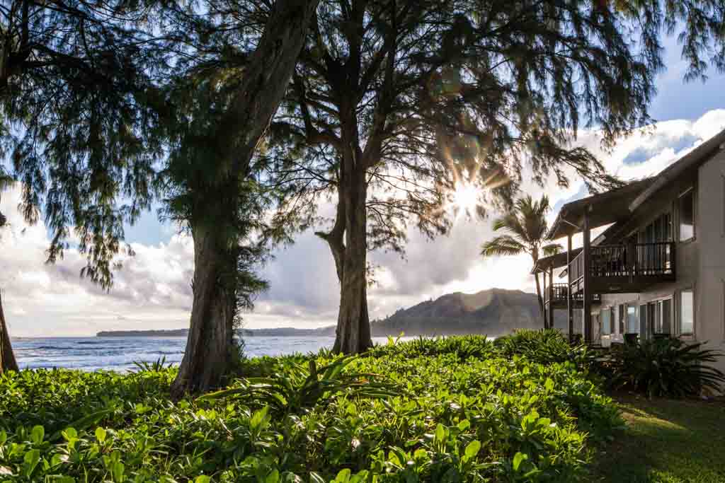 Family Travel to Kauai (6 of 10)