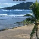 view-from-hanalei-colony-resort-kauai