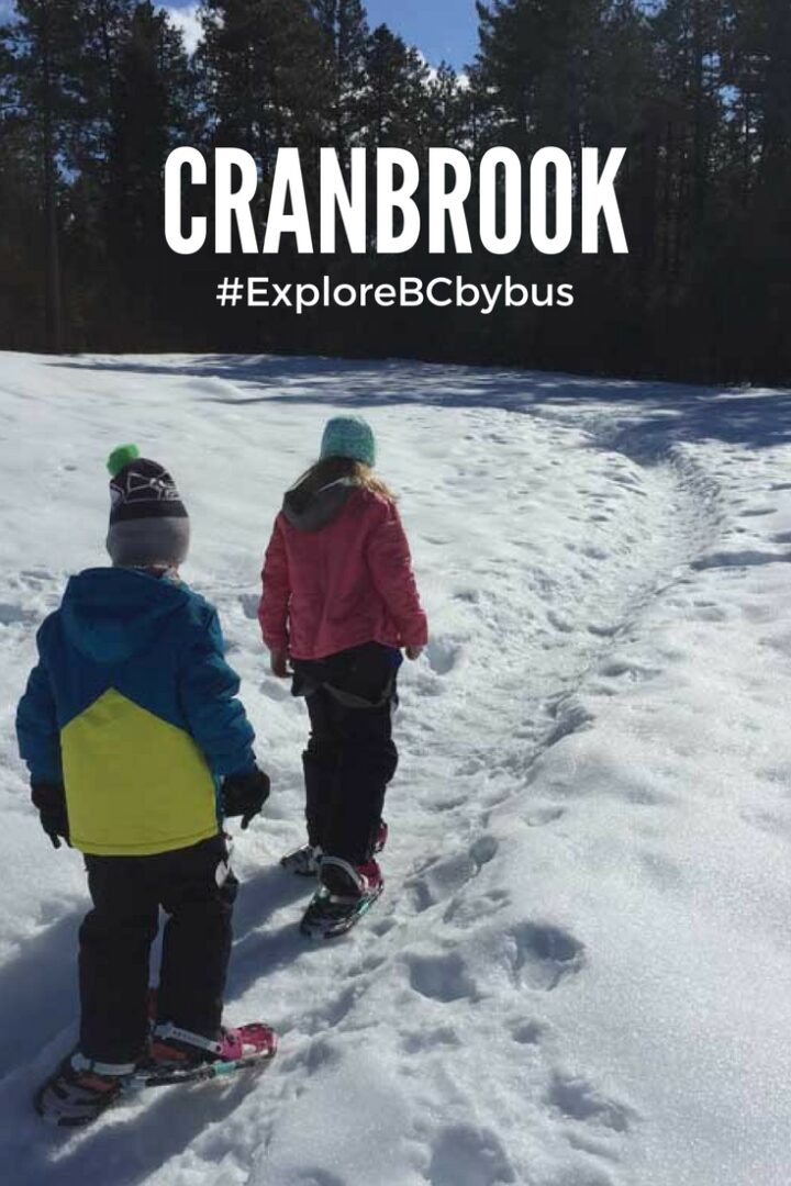 kids-snowshoeing-in-cranbrook