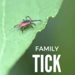family-tick-prevention
