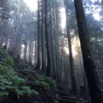Grouse Grind