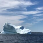 Iceberg Tours Terra Nova National Park (11 of 21)