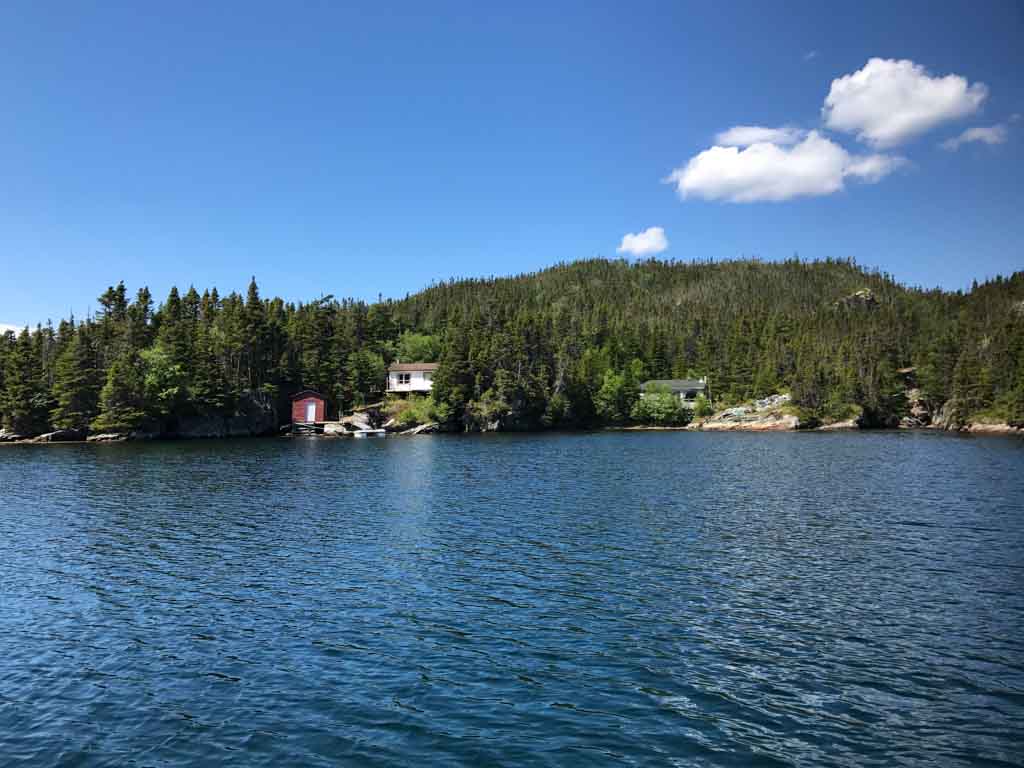 Cottages in Terra Nova