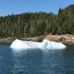 Iceberg Tours Terra Nova National Park (5 of 21)