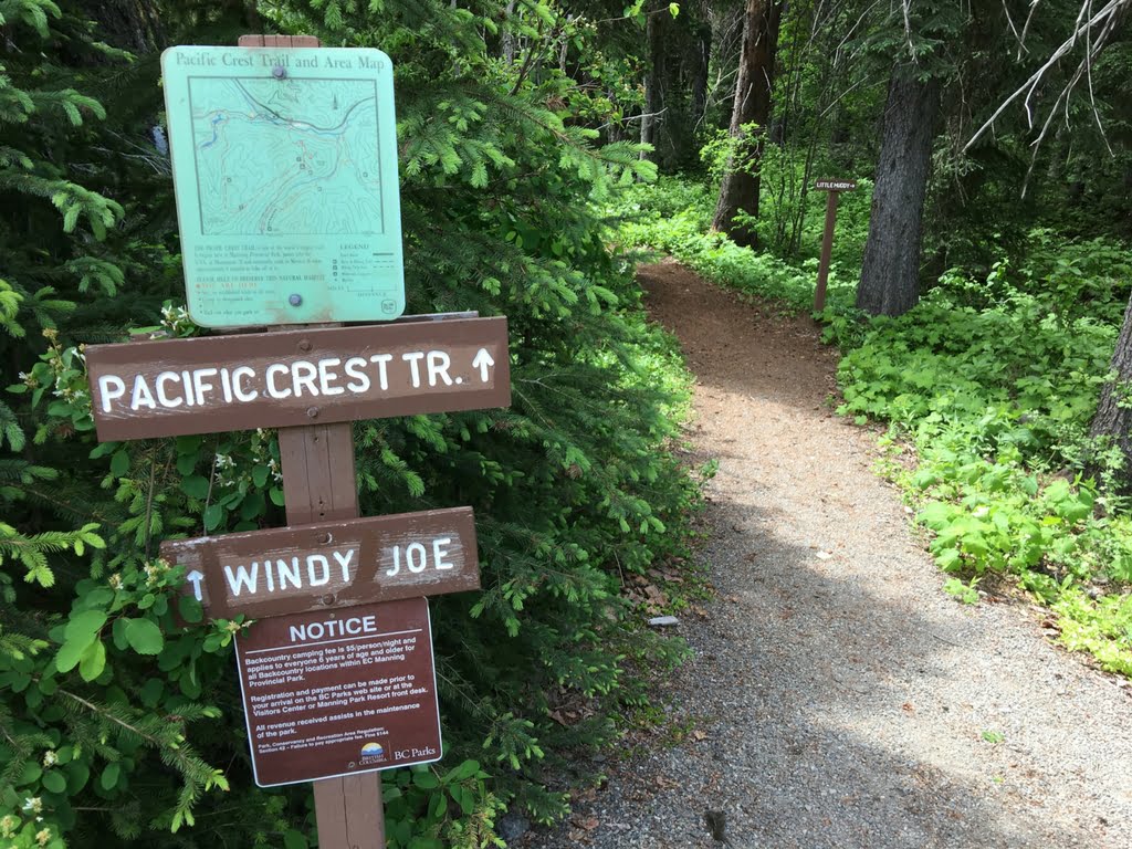pacific-crest-trail-in-manning-park