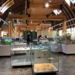 Newfoundland Insectarium (8 of 9)