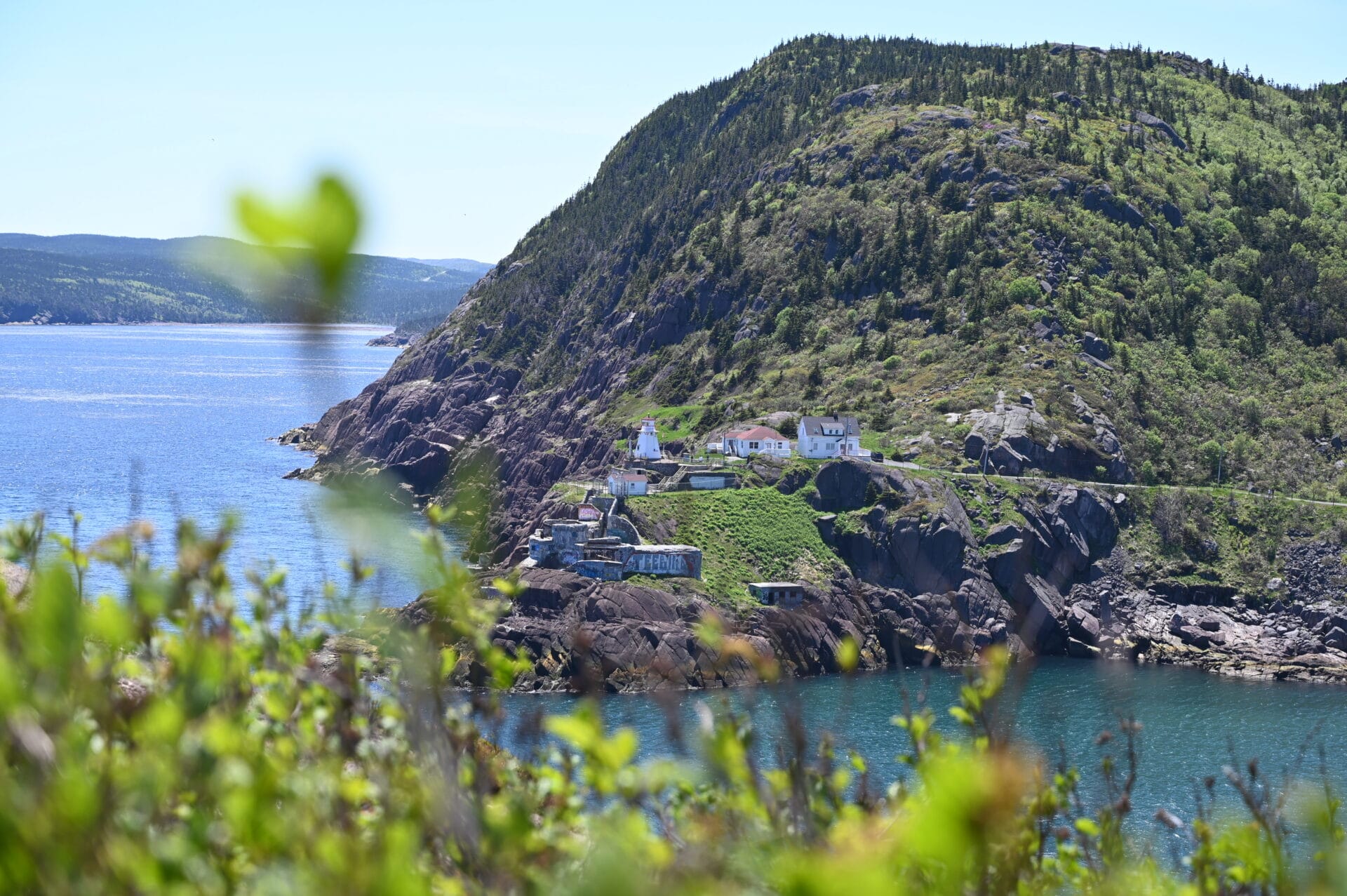 view of houses and a lighthouse perched on a rock side from a trail lookout point at Signal Hill National Historic Site.