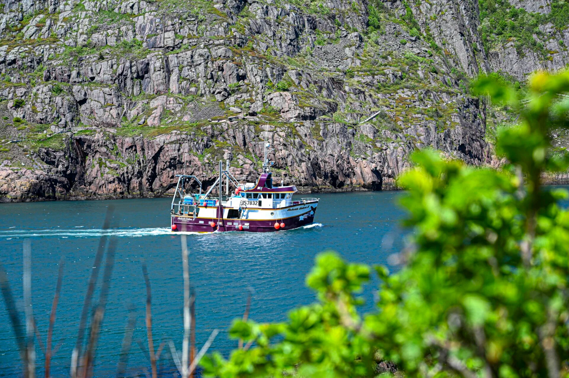 a maroon and white fishing boat coming into the st. john's newfoundland harbour
