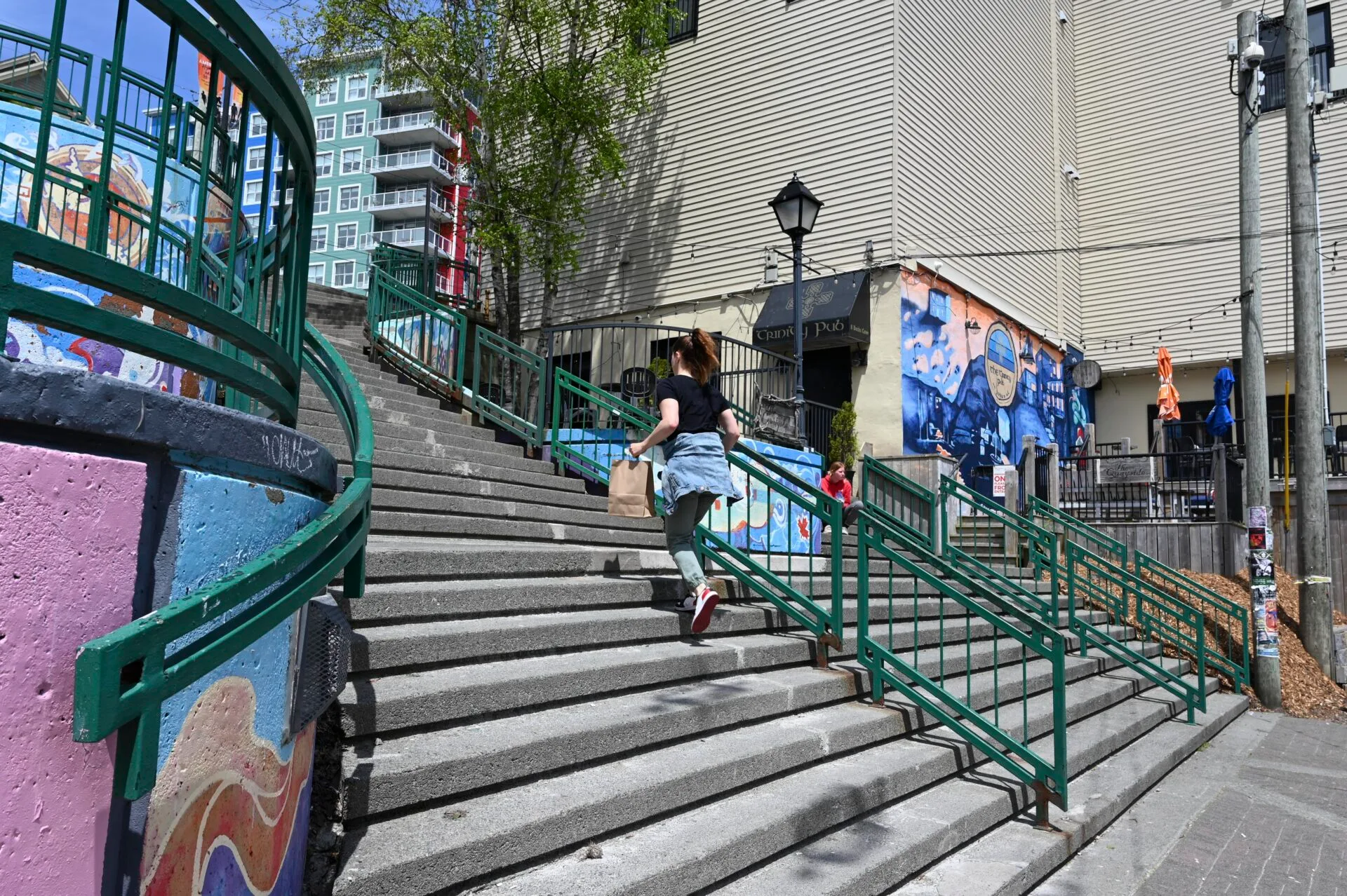 a woman carrying a paper shopping bag is walking up the stairs in one of the mural coverd alley ways in st. john's