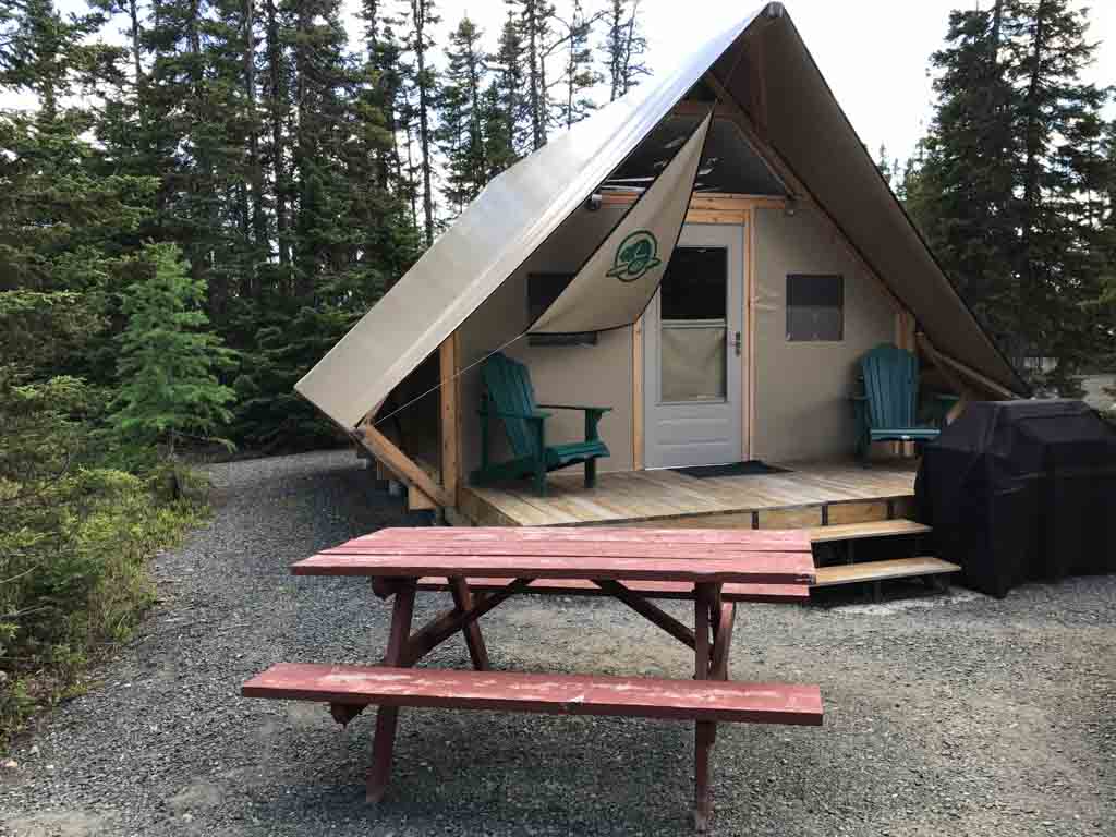 Otentik in Terra Nova national park from out east coast Canada road trip