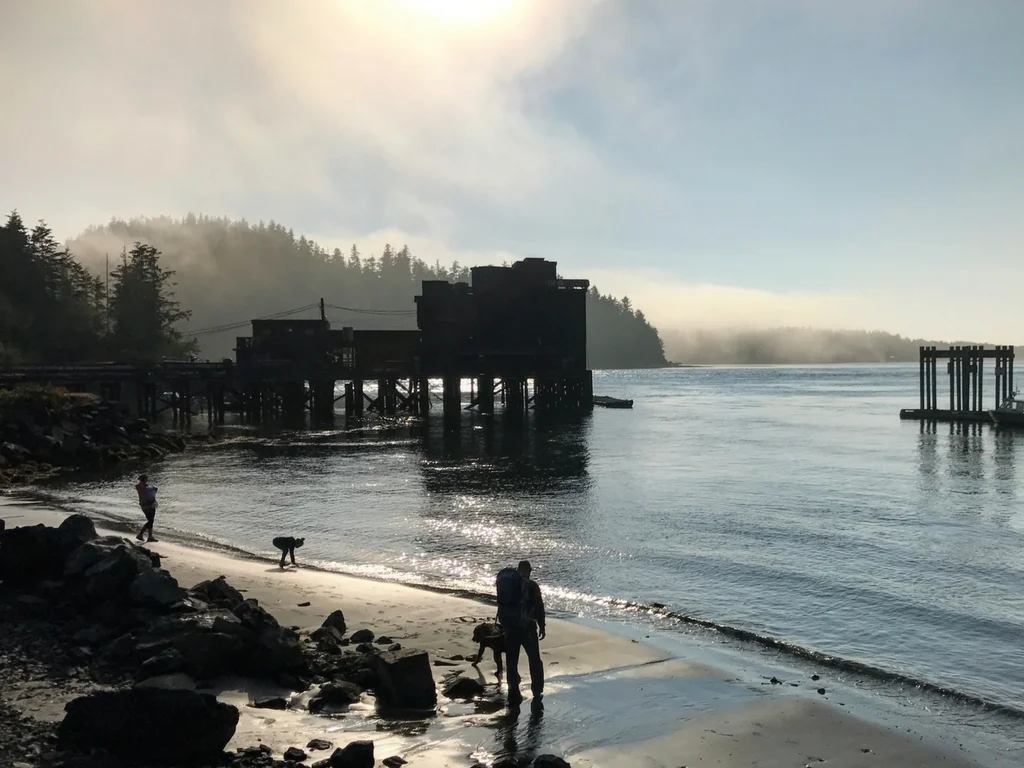 people-on-beach-in-the-town-of-tofino