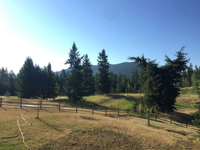 Keenan Family Farms 15 Things To Know!