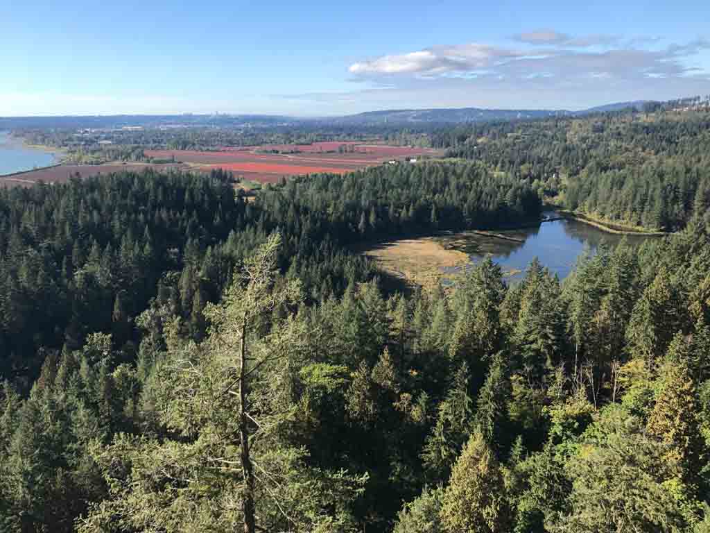 Minnekhada Regional Park - High Knoll Trail - Adventure Awaits