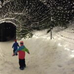 outdoor christmas round up – sw