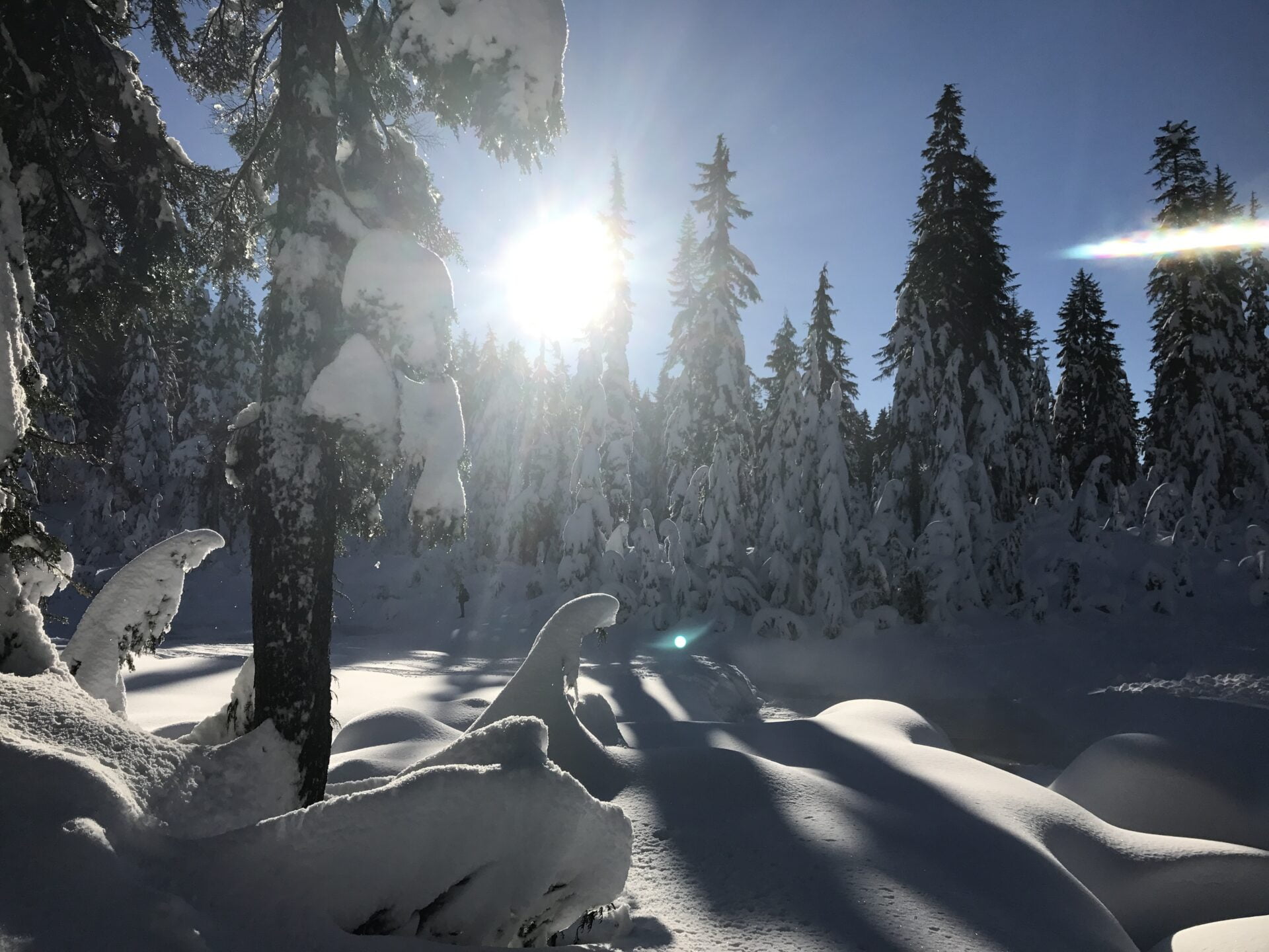 can you hike dog mountain in the winter