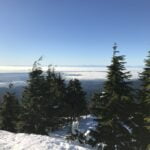 Dog Mountain