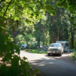 birch-bay-5-campground