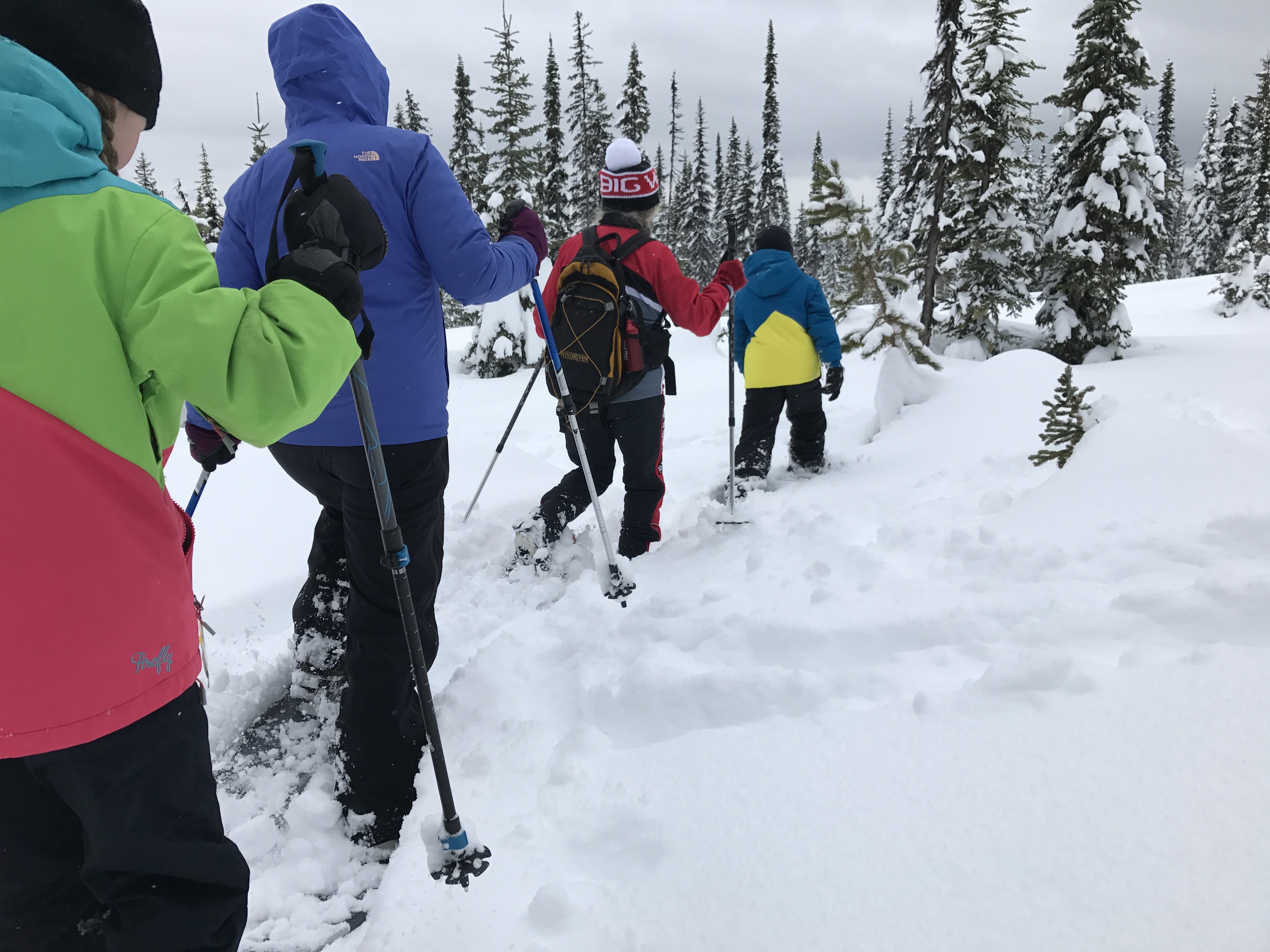 Big White Snowshoeing Adventure Adventure Awaits