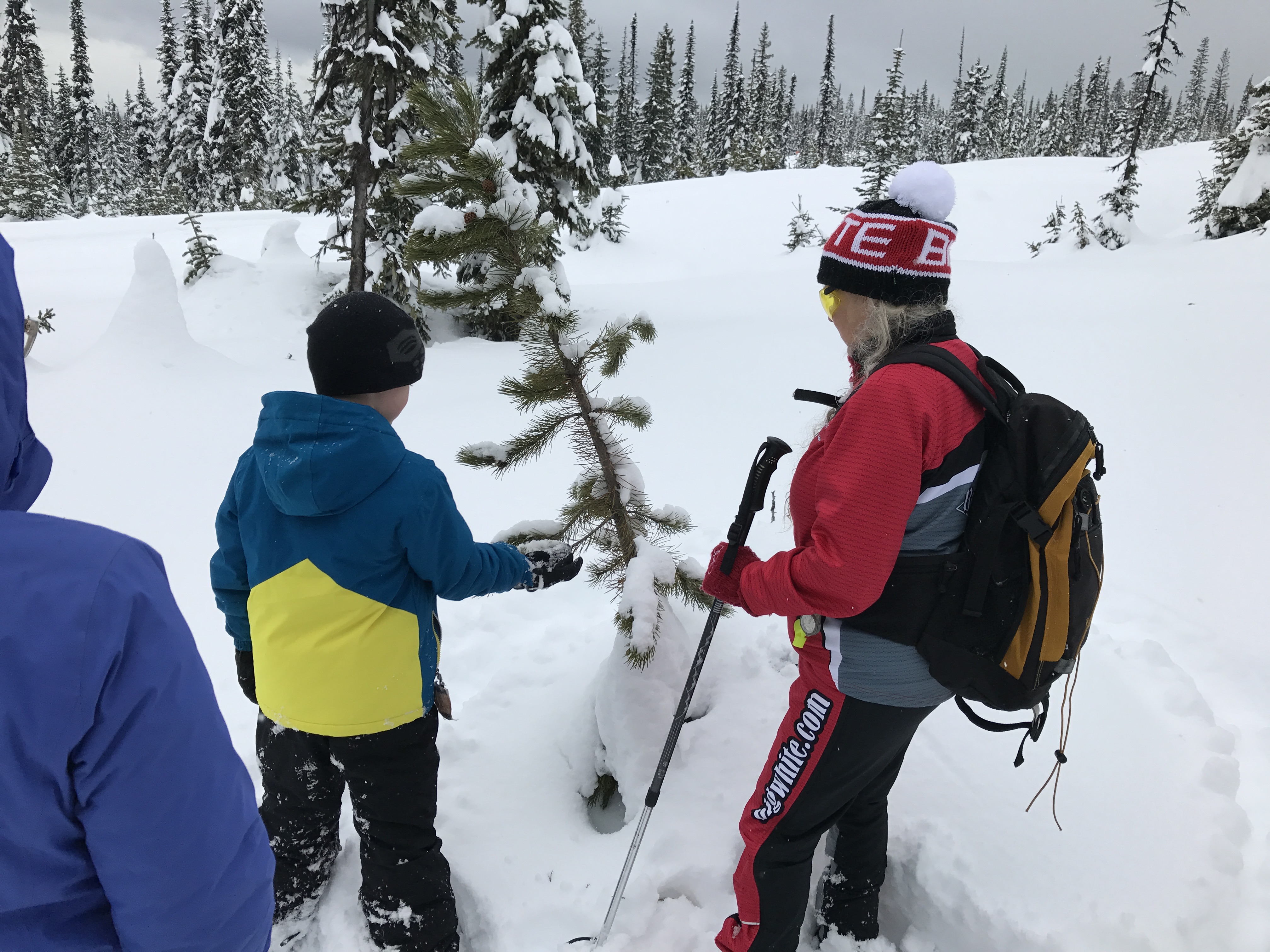 Big White Snowshoeing Adventure Adventure Awaits