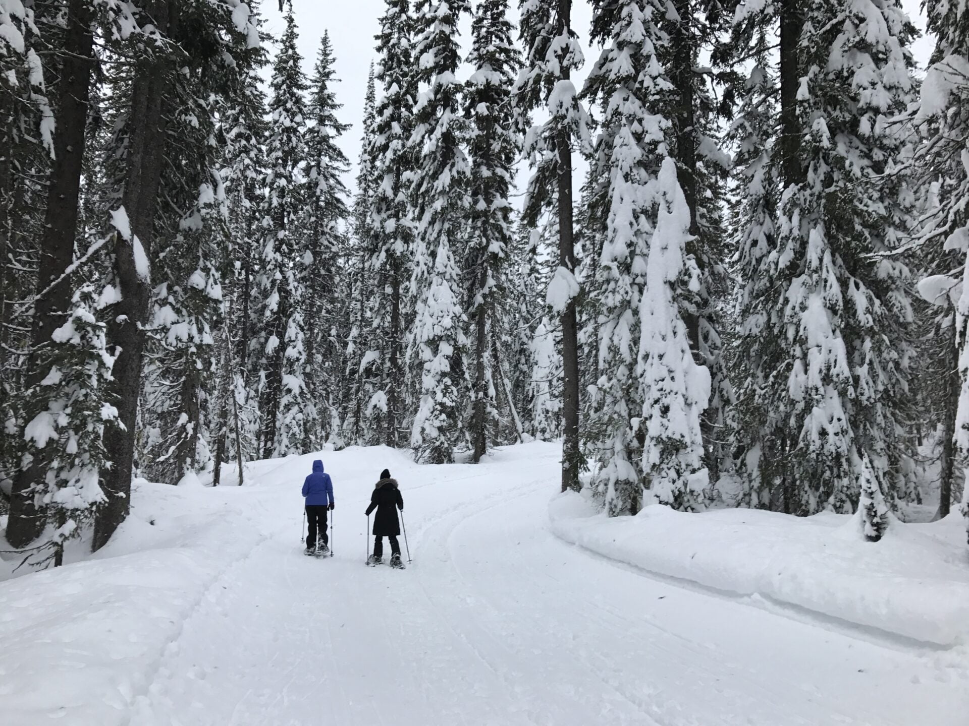 two-people-snowshoeing-at-big-white
