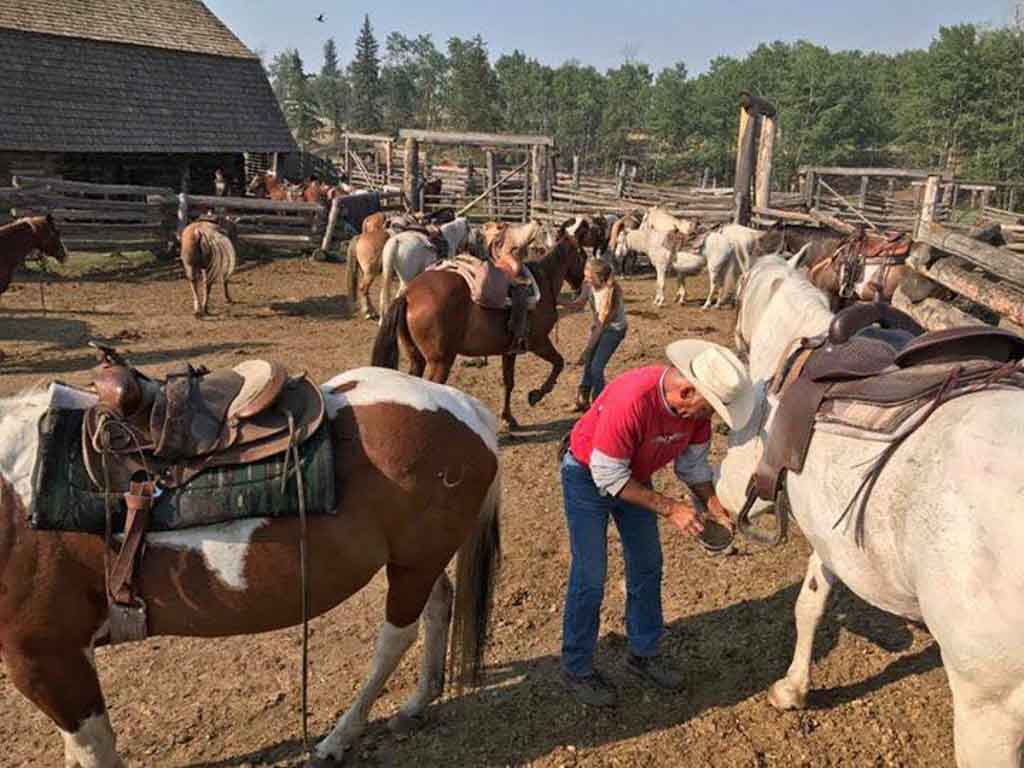 tacking-horses-at-flying-u-guest-ranch